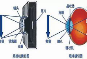 爱眼日义诊文案561.png